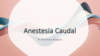 Anestesia Caudal
Dr. Bonifacio Magaña
 