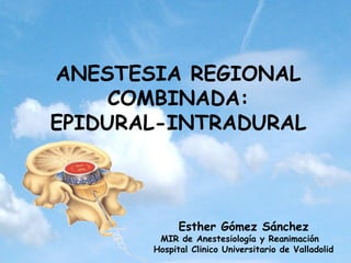 ANESTESIA REGIONAL
     COMBINADA:
EPIDURAL-INTRADURAL



             Esther Gómez Sánchez
        MIR de Anestesiología y Reanimación
       Hospital Clínico Universitario de Valladolid
 