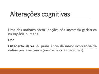 Alterações cognitivas
Uma das maiores preocupações pós anestesia geriátrica
na espécie humana
Dor
Osteoarticulares → prevalência de maior ocorrência de
delírio pós anestésico (microembolias cerebrais)
 