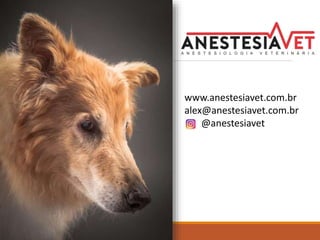 www.anestesiavet.com.br
alex@anestesiavet.com.br
@anestesiavet
 