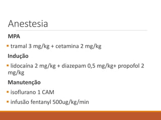 Anestesia
MPA
 tramal 3 mg/kg + cetamina 2 mg/kg
Indução
 lidocaína 2 mg/kg + diazepam 0,5 mg/kg+ propofol 2
mg/kg
Manutenção
 isoflurano 1 CAM
 infusão fentanyl 500ug/kg/min
 