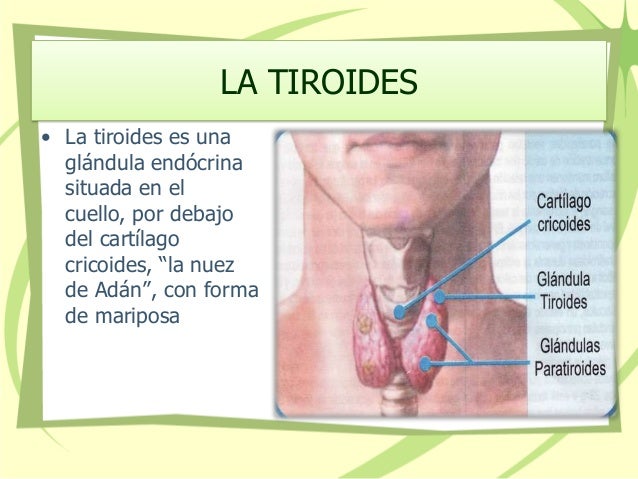 La crema de la psoriasis con la sosa