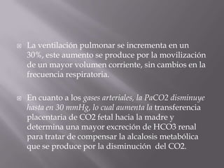 La ventilación pulmonar se incrementa en un 30%, este aumento se produce por la movilización de un mayor volumen corriente, sin cambios en la frecuencia respiratoria.En cuanto a los gases arteriales, la PaCO2 disminuye hasta en 30 mmHg, lo cual aumenta la transferencia placentaria de CO2 fetal hacia la madre y determina una mayor excreción de HCO3 renal para tratar de compensar la alcalosis metabólica que se produce por la disminución  del CO2. 