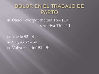 DOLOR EN EL TRABAJO DE PARTOÚtero ,  cuerpo : motora T5 – T10                                  sensitiva T10 – L1 cuello S2 – S4Vagina S2 – S4Vulva y periné S2 – S4