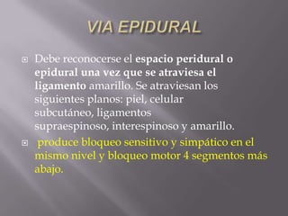 VIA EPIDURALDebe reconocerse el espacio peridural o epidural una vez que se atraviesa el ligamento amarillo. Se atraviesan los siguientes planos: piel, celular subcutáneo, ligamentos supraespinoso, interespinoso y amarillo.produce bloqueo sensitivo y simpático en el mismo nivel y bloqueo motor 4 segmentos más abajo.