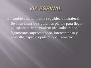 VIA ESPINALTambién denominada raquídea o intratecal.     Se atraviesan los siguientes planos para llegar al espacio subaracnoídeo: piel, subcutáneo,     ligamentos supraespinoso, interespinoso y amarillo, espacio epidural y duramadre.