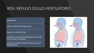 anestesia en oftalmologia.pptx
