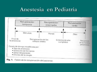 Anestesia en PediatríaAnestesia en Pediatría
 