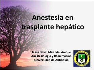Anestesia en trasplante hepático Jesús David Miranda  Araque Anestesiología y Reanimación  Universidad de Antioquia  