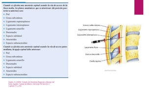Hadzic, A. (2009). Tratado de Anestesia Regional y Manejo del
Dolor Agudo. Ciudad de México: McGraw Hill.Sección 2.
Capítulo 13. p.193.
 