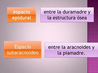 espacio
epidural

Espacio
subaracnoideo

entre la duramadre y
la estructura ósea

entre la aracnoides y
la piamadre.

 