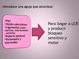  Introduce

una aguja que atraviesa:

Para llegar a LCR
y producir
bloqueo
sensitivo y
motor

 