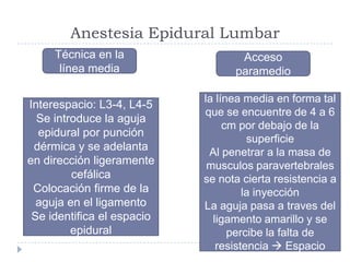 Anestesia Epidural Lumbar
Técnica en la
línea media
Interespacio: L3-4, L4-5
Se introduce la aguja
epidural por punción
dérmica y se adelanta
en dirección ligeramente
cefálica
Colocación firme de la
aguja en el ligamento
Se identifica el espacio
epidural

Acceso
paramedio
La aguja se adelanta hacia
la línea media en forma tal
que se encuentre de 4 a 6
cm por debajo de la
superficie
Al penetrar a la masa de
musculos paravertebrales
se nota cierta resistencia a
la inyección
La aguja pasa a traves del
ligamento amarillo y se
percibe la falta de
resistencia  Espacio

 