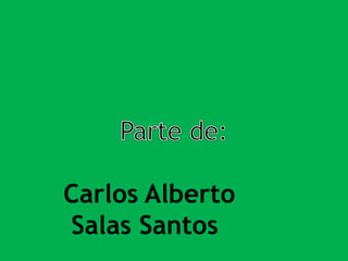 Carlos Alberto
Salas Santos

 