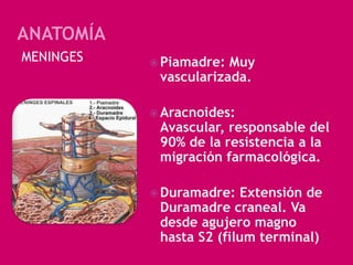 MENINGES

 Piamadre:

Muy
vascularizada.

 Aracnoides:

Avascular, responsable del
90% de la resistencia a la
migración farmacológica.

 Duramadre:

Extensión de
Duramadre craneal. Va
desde agujero magno
hasta S2 (filum terminal)

 