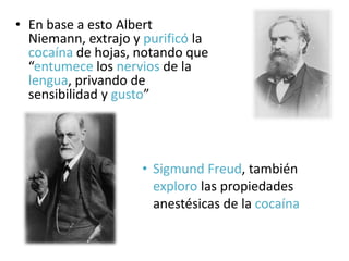 • En base a esto Albert
Niemann, extrajo y purificó la
cocaína de hojas, notando que
“entumece los nervios de la
lengua, privando de
sensibilidad y gusto”
• Sigmund Freud, también
exploro las propiedades
anestésicas de la cocaína
 