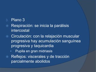 Plano 2:Respiración: aparición de una pausa entre inspiración y espiración Circulación: pulso y presión arterial normales Globos oculares en posición central y hacia arribaPupilas con algo de midriasis Comienza a desaparición de la rigidez muscular Se pierden los reflejos tusígeno y cutáneo.   