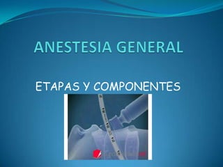 ETAPAS Y COMPONENTES
 