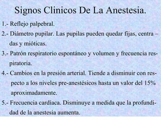 Signos Clinicos De La Anestesia. 
1.- Reflejo palpebral. 
2.- Diámetro pupilar. Las pupilas pueden quedar fijas, centra – 
das y mióticas. 
3.- Patrón respiratorio espontáneo y volumen y frecuencia res-piratoria. 
4.- Cambios en la presión arterial. Tiende a disminuir con res-pecto 
a los niveles pre-anestésicos hasta un valor del 15% 
aproximadamente. 
5.- Frecuencia cardíaca. Disminuye a medida que la profundi-dad 
de la anestesia aumenta. 
 