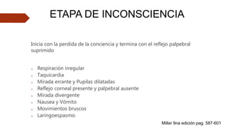 ETAPA DE INCONSCIENCIA
Inicia con la perdida de la conciencia y termina con el reflejo palpebral
suprimido
 Respiración irregular
 Taquicardia
 Mirada errante y Pupilas dilatadas
 Reflejo corneal presente y palpebral ausente
 Mirada divergente
 Nausea y Vómito
 Movimientos bruscos
 Laringoespasmo.
Miller 9na edición pag. 587-601
 