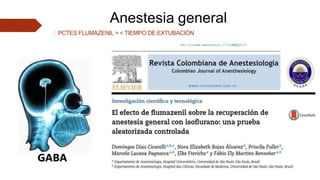 🠶 PCTES FLUMAZENIL = < TIEMPO DE EXTUBACIÓN
Anestesia general
GABA
 