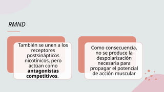RMND
También se unen a los
receptores
postsinápticos
nicotínicos, pero
actúan como
antagonistas
competitivos.
Como consecuencia,
no se produce la
despolarización
necesaria para
propagar el potencial
de acción muscular
 