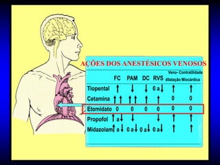 AÇÕES DOS ANESTÉSICOS VENOSOS
                                 Veno- Contratilidade
             FC   PAM DC RVS    dilatação Miocárdica

 Tiopental                 0a
 Cetamina                          0         0
 Etomidato 0       0   0    0      0         0
 Propofol    a
 Midazolam a      0a 0a 0a
 