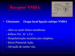 Receptor NMDA


• Glutamato    Ocupa local ligação subtipo NMDA

 - Abre-se canal iônico membrana.
 - Influxo Na+, K+ e Ca+.
 - Despolarização neurônio pós sináptico.
 - Início Potencial Ação.
 - Ativação de outras vias.
 