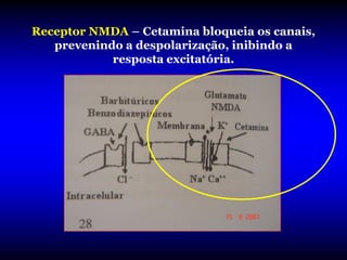 Receptor NMDA – Cetamina bloqueia os canais,
   prevenindo a despolarização, inibindo a
            resposta excitatória.
 