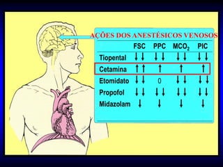 AÇÕES DOS ANESTÉSICOS VENOSOS
              FSC   PPC MCO2   PIC
  Tiopental
  Cetamina
  Etomidato          0
  Propofol
  Midazolam
 