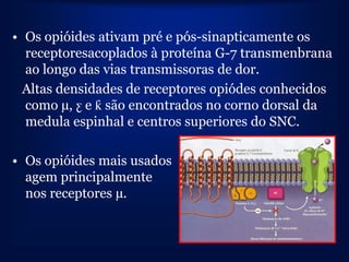 • Os opióides ativam pré e pós-sinapticamente os
  receptoresacoplados à proteína G-7 transmenbrana
  ao longo das vias transmissoras de dor.
  Altas densidades de receptores opiódes conhecidos
  como µ, ƹ e ƙ são encontrados no corno dorsal da
  medula espinhal e centros superiores do SNC.

• Os opióides mais usados
  agem principalmente
  nos receptores µ.
 