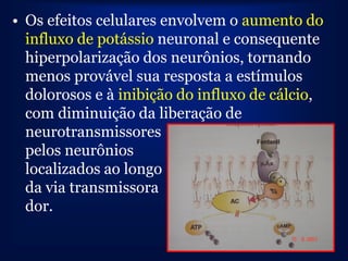 • Os efeitos celulares envolvem o aumento do
  influxo de potássio neuronal e consequente
  hiperpolarização dos neurônios, tornando
  menos provável sua resposta a estímulos
  dolorosos e à inibição do influxo de cálcio,
  com diminuição da liberação de
  neurotransmissores
  pelos neurônios
  localizados ao longo
  da via transmissora
  dor.
 