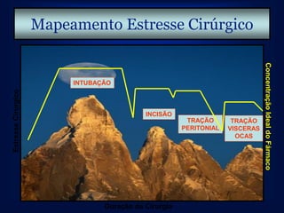 Mapeamento Estresse Cirúrgico




                                                                               Concentração Ideal do Fármaco
                          INTUBAÇÃO
Estresse Cirúrgico




                                            INCISÃO
                                                        TRAÇÃO       TRAÇÃO
                                                       PERITONIAL   VISCERAS
                                                                      OCAS




                                 Duração da Cirurgia
 