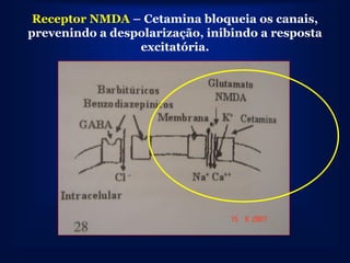 Receptor NMDA – Cetamina bloqueia os canais,
prevenindo a despolarização, inibindo a resposta
                 excitatória.
 