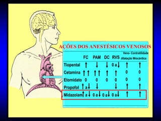 AÇÕES DOS ANESTÉSICOS VENOSOS
                                  Veno- Contratilidade
             FC   PAM DC RVS     dilatação Miocárdica

 Tiopental                  0a
 Cetamina                           0         0
 Etomidato 0       0    0    0      0         0
 Propofol    a
 Midazolam a      0a   0a 0a
 