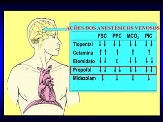 AÇÕES DOS ANESTÉSICOS VENOSOS
              FSC   PPC MCO2   PIC
  Tiopental
  Cetamina
  Etomidato          0
  Propofol
  Midazolam
 
