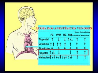 AÇÕES DOS ANESTÉSICOS VENOSOS
                                  Veno- Contratilidade
             FC   PAM DC RVS     dilatação Miocárdica

 Tiopental                  0a
 Cetamina                           0         0
 Etomidato 0       0    0    0      0         0
 Propofol    a
 Midazolam a      0a   0a 0a
 