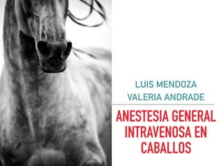 LUIS MENDOZA
VALERIA ANDRADE
ANESTESIA GENERAL
INTRAVENOSA EN
CABALLOS
 