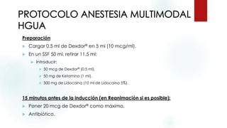 Anestesia libre de opioides | PDF