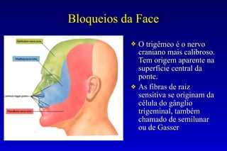 Bloqueios da Face
❖ O trigêmeo é o nervo
craniano mais calibroso.
Tem origem aparente na
superfície central da
ponte.
❖ As fibras de raiz
sensitiva se originam da
célula do gânglio
trigeminal, também
chamado de semilunar
ou de Gasser
 