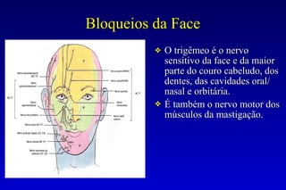 Bloqueios da Face
❖ O trigêmeo é o nervo
sensitivo da face e da maior
parte do couro cabeludo, dos
dentes, das cavidades oral/
nasal e orbitária.
❖ É também o nervo motor dos
músculos da mastigação.
 