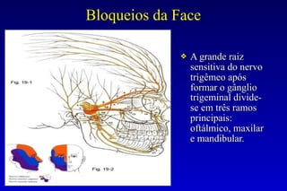 Bloqueios da Face
❖ A grande raiz
sensitiva do nervo
trigêmeo após
formar o gânglio
trigeminal divide-
se em três ramos
principais:
oftálmico, maxilar
e mandibular.
 