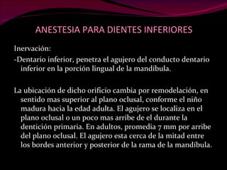 ANESTESIA PARA DIENTES INFERIORES Inervación: -Dentario inferior, penetra el agujero del conducto dentario inferior en la porción lingual de la mandíbula. La ubicación de dicho orificio cambia por remodelación, en sentido mas superior al plano oclusal, conforme el niño madura hacia la edad adulta. El agujero se localiza en el plano oclusal o un poco mas arribe de el durante la dentición primaria. En adultos, promedia 7 mm por arribe del plano oclusal. El agujero esta cerca de la mitad entre los bordes anterior y posterior de la rama de la mandíbula. 