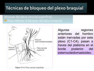 Bloqueo del plexo cervical superficial.
 Para reforzar el bloqueo del plexo braquial
Algunas regiones
anteriores del hombro
están inervadas por este
plexo (C1-C4), pasan a
traves del platisma en el
borde posterior del
esternocleidomastoideo.
 