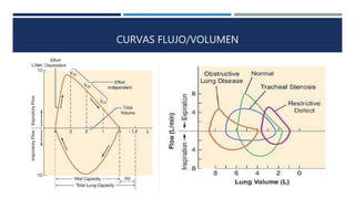 CURVAS FLUJO/VOLUMEN 
 