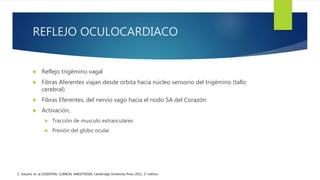 REFLEJO OCULOCARDIACO
 Reflejo trigémino vagal
 Fibras Aferentes viajan desde orbita hacia núcleo sensorio del trigémino (tallo
cerebral)
 Fibras Eferentes, del nervio vago hacia el nodo SA del Corazón
 Activación,
 Tracción de musculo extraoculares
 Presión del globo ocular
C. Vacanti, et. al; ESSENTIAL CLINICAL ANESTHESIA; Cambridge University Press 2011, 1st edition
 
