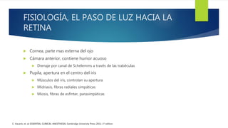 FISIOLOGÍA, EL PASO DE LUZ HACIA LA
RETINA
 Cornea, parte mas externa del ojo
 Cámara anterior, contiene humor acuoso
 Drenaje por canal de Schelemms a través de las trabéculas
 Pupila, apertura en el centro del iris
 Músculos del iris, controlan su apertura
 Midriasis, fibras radiales simpáticas
 Miosis, fibras de esfínter, parasimpáticas
C. Vacanti, et. al; ESSENTIAL CLINICAL ANESTHESIA; Cambridge University Press 2011, 1st edition
 