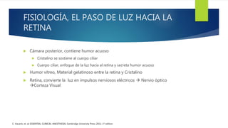 FISIOLOGÍA, EL PASO DE LUZ HACIA LA
RETINA
 Cámara posterior, contiene humor acuoso
 Cristalino se sostiene al cuerpo ciliar
 Cuerpo ciliar, enfoque de la luz hacia al retina y secreta humor acuoso
 Humor vítreo, Material gelatinoso entre la retina y Cristalino
 Retina, convierte la luz en impulsos nerviosos eléctricos  Nervio óptico
Corteza Visual
C. Vacanti, et. al; ESSENTIAL CLINICAL ANESTHESIA; Cambridge University Press 2011, 1st edition
 