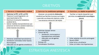 OBJETIVOS
ESTRATEGIA ANESTÉSICA
 