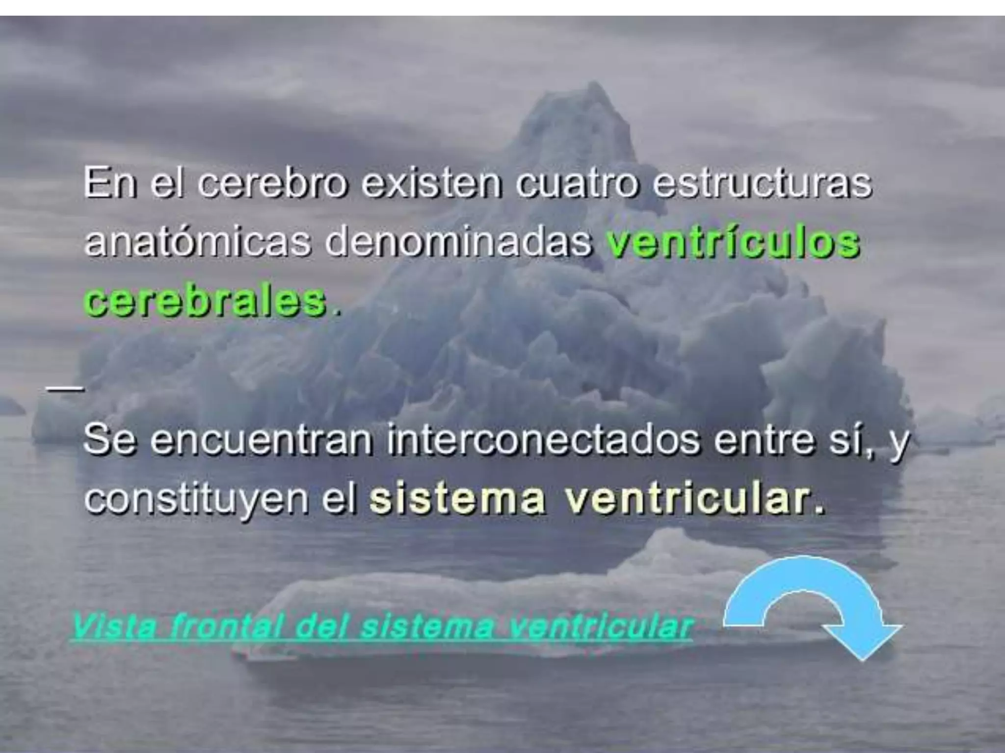 …………………..